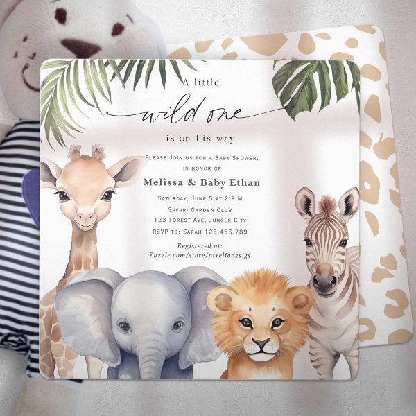A little Wild One is on His way Safari
