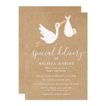 A Special Delivery Stork Baby Shower / Sprinkle