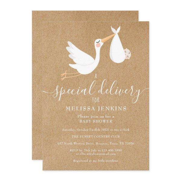 A Special Delivery Stork Baby Shower / Sprinkle