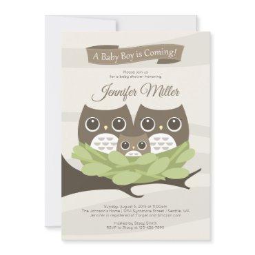 Baby Boy Owl Family