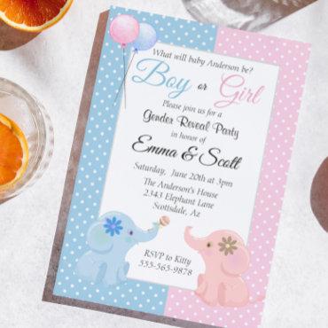 Baby Elephant Pink Blue Gender Reveal Party