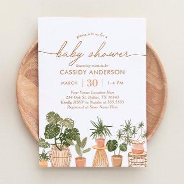 Boho Potted House Plants