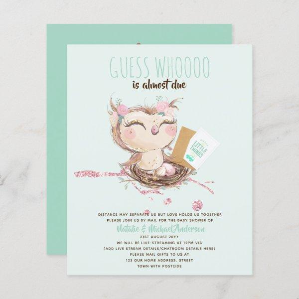 BUDGET Baby Shower Drive By Mail Owl Cute Invite