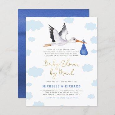 Budget Stork Delivery Blue Baby Boy Baby Shower