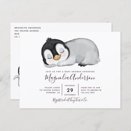 Cute Penguin  Postcard