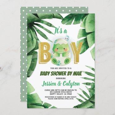 Dinosaur It's a Boy Baby Shower By Mail