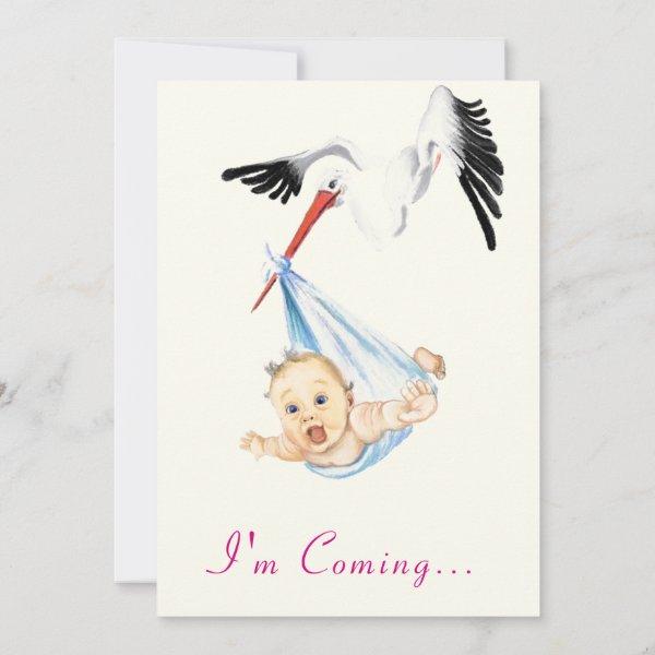 Funny Stork  - I'm Coming