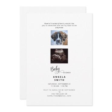 Funny Ultrasound & Dog Photo