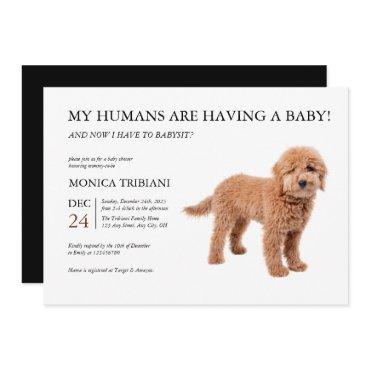 Golden Doodle Baby Shower Minimalist