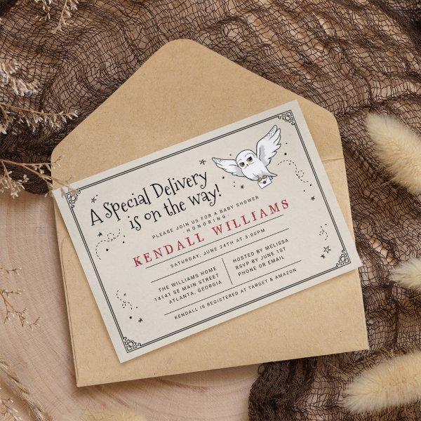 Harry Potter | Hedwig Baby Sprinkle