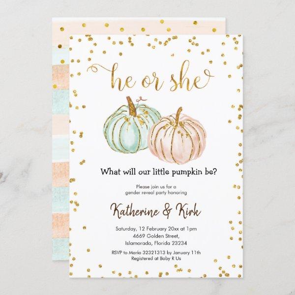 He Or She Pastel Pumpkin Gender Reveal