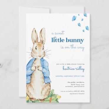 Little Bunny Peter Rabbit