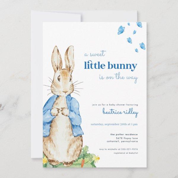 Little Bunny Peter Rabbit