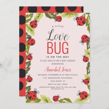 Little Love Bug Ladybug