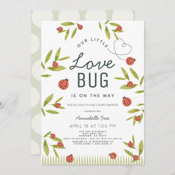 Little Love Bug Ladybug