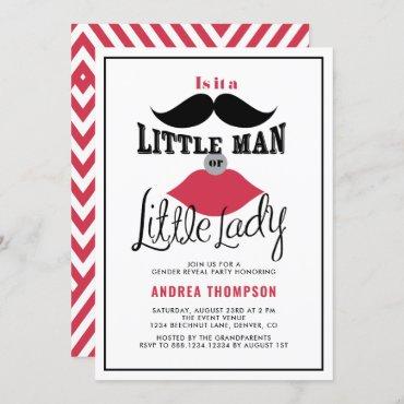 Mustache and Lips Retro Gender Reveal Baby Shower Invitation