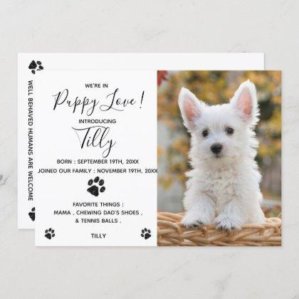 New Pet Dog Puppy Shower Party Invitation