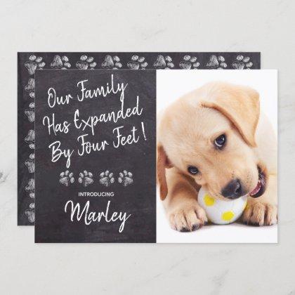 Our Family Four Feet New Pet Dog Puppy Shower Invitation