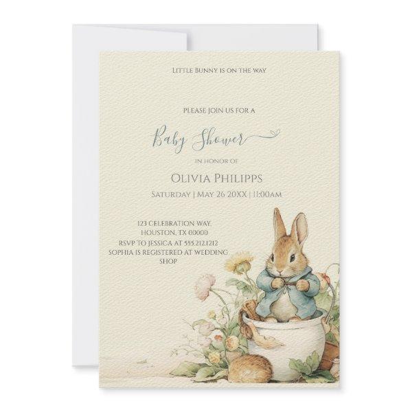 Peter Rabbit