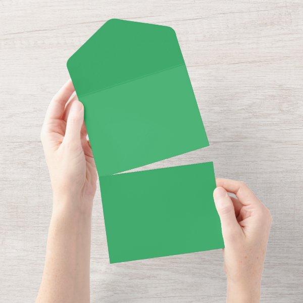 Sea Green #EEAD65, Aqua Forest All In One