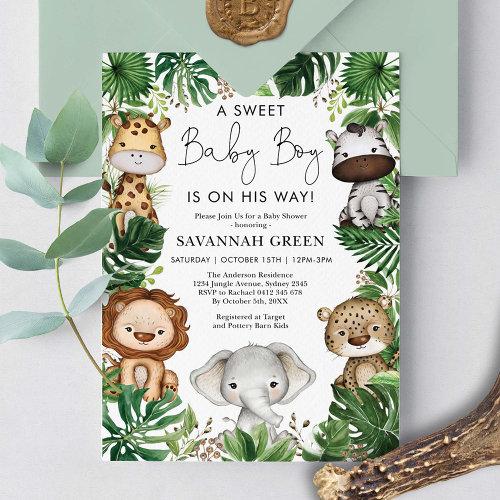 Tropical Jungle Safari Animals Boy
