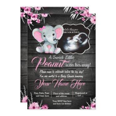 Ultrasound Elephant , rustic